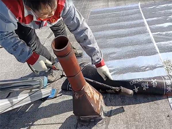業務范圍